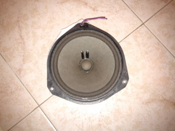 fronte