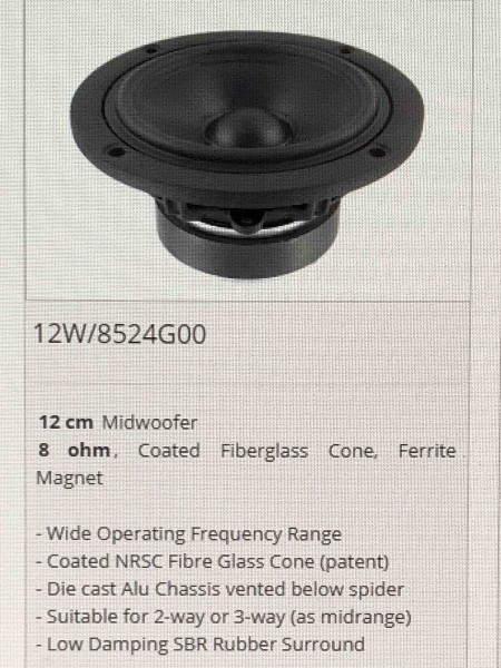 midwoofer Scan da 12 cm.jpg