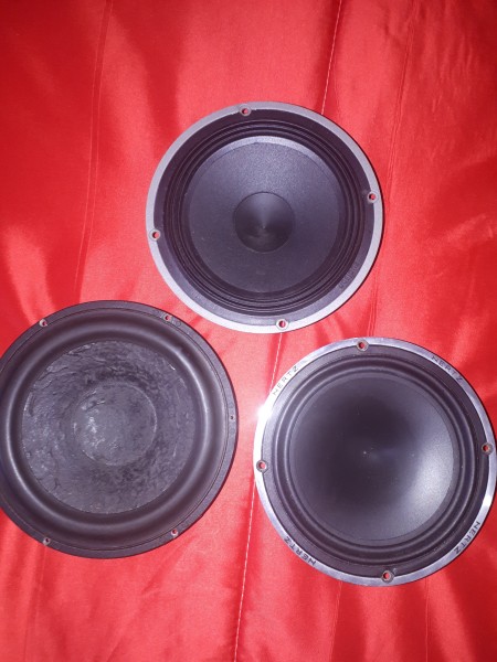 20190413_143752.jpg