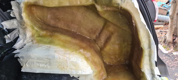 20220206_120650.jpg