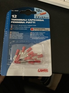 IMG_2288 Small.jpeg