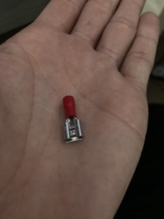 IMG_2287 Small.jpeg