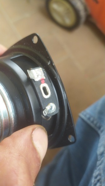 IMG-20220615-WA0011.jpeg