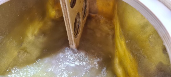 20220212_115234.jpg