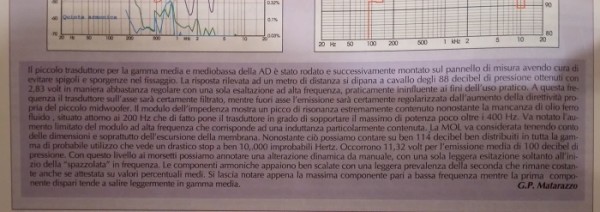 ad6.jpg