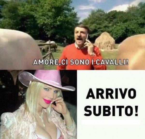 amore di cavalli.jpg