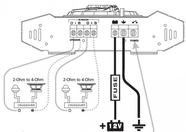 crox - ampli.jpg